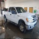 1FTFX1EF6DFB23748 2013 Ford F-150 Xlt auction photo thumbnail 1