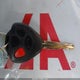 4T1BE46K67U069915 2007 Toyota Camry Le auction photo thumbnail 11