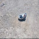 ZFBCFYET0GP391796 2016 Fiat 500X Trekking Plus auction photo thumbnail 12
