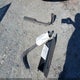 1G1ZB5ST5KF223150 2019 Chevrolet Malibu 1Ls auction photo thumbnail 12