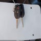 2FMDK3GC4EBA74648 2014 Ford Edge Se auction photo thumbnail 11