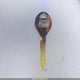 JM1NB3533X0125928 1999 Mazda Mx-5 Miata Leather Pkg/Popular Equipment Pkg/Sports Pkg/Touring Pkg auction photo thumbnail 11