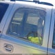 1GKEC13T6YJ210931 2000 GMC Yukon auction photo thumbnail 12
