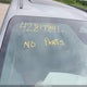 3GPKHXRJ8RS527410 2024 Honda Prologue Touring auction photo thumbnail 12