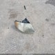 1D4GP24R85B279386 2005 Dodge Grand Caravan Se auction photo thumbnail 12