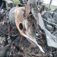 1FTEW1EB0JKD84498 2018 Ford F-150 Xlt auction photo thumbnail 7