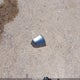 7SAYGDEE7TA405272 2026 Tesla Model Y Long Range Dual Motor All-Wheel Drive/Long Range Launch Series auction photo thumbnail 12