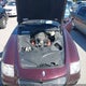 ZAMCE39A560023600 2006 Maserati Quattroporte Executive Gt/Sport Gt auction photo thumbnail 10