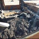 1GCHSCEA6M1247104 2021 Chevrolet Colorado 2Wd Long Box Lt auction photo thumbnail 5