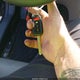 1HGCR2F34HA057762 2017 Honda Accord Lx auction photo thumbnail 11