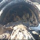 WAUAF78EX6A258831 2006 Audi A4 2.0T auction photo thumbnail 7