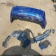 1G1PC5SHXC7134198 2012 Chevrolet Cruze Ls auction photo thumbnail 12