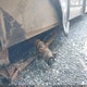 1XNBU1620N2018772 2023 Triple Crown Trailer auction photo thumbnail 16