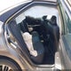 4T1BF1FK3HU804072 2017 Toyota Camry Se auction photo thumbnail 8