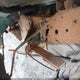 1FTYR14CXYTA20110 2000 Ford Ranger Xl/Xlt auction photo thumbnail 6