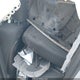 2C3CDXGJ9KH737824 2019 Dodge Charger Scat Pack Rwd auction photo thumbnail 8