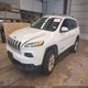 1C4PJMCB9GW259514 2016 Jeep Cherokee Latitude auction photo thumbnail 2