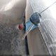 5NMSH73E27H041984 2007 Hyundai Santa Fe Limited/Se auction photo thumbnail 11