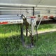 2W9HA3627GG001137 2016 Wallinga Trailer auction photo thumbnail 6