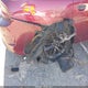 2C3CDXGJ7KH519574 2019 Dodge Charger Scat Pack Rwd auction photo thumbnail 6