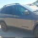 1C4PJMMBXPD115562 2023 Jeep Cherokee Altitude Lux 4X4 auction photo thumbnail 12