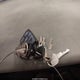 1G1BL52P2TR110760 1996 Chevrolet Caprice / Impala Classic Ss auction photo thumbnail 11
