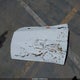 2C3CDYAG8DH524109 2013 Dodge Challenger Sxt auction photo thumbnail 12