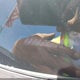5FNYF8H58MB040933 2021 Honda Passport Awd Ex-L auction photo thumbnail 17