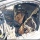 1FMCU9GD7KUC06177 2019 Ford Escape Se auction photo thumbnail 13