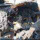 1FMCU9GD7KUC06177 2019 Ford Escape Se auction photo thumbnail 7