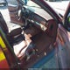 1G4CW52K8W4602536 1998 Buick Park Avenue auction photo thumbnail 5
