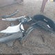 7SAXCBE61PF404602 2023 Tesla Model X Plaid Tri Motor All-Wheel Drive auction photo thumbnail 12