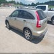 JHLRE48557C090547 2007 Honda Cr-V Ex auction photo thumbnail 3