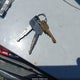 1FTHX26F9TEB37354 1996 Ford F250 auction photo thumbnail 11
