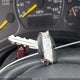 2GCEK19T011291107 2001 Chevrolet Silverado 1500 Lt auction photo thumbnail 11