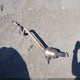 WDCGG8JB7DF969512 2013 Mercedes-Benz Glk 350 4Matic auction photo thumbnail 12