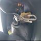 1GBHG31V741169835 2004 Chevrolet Express Cutaway auction photo thumbnail 10