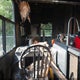 5ZT3BK5B4FA311638 2015 Coachmen R 395Rl auction photo thumbnail 8