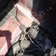 2B3CJ5DT7BH502306 2011 Dodge Challenger R/T auction photo thumbnail 13