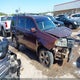 5FNYF4H55DB040980 2013 Honda Pilot Ex-L auction photo thumbnail 13