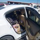 1G4GC5GDXBF172639 2011 Buick Lacrosse Cxl auction photo thumbnail 8