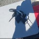 1FAFP55U93G250613 2003 Ford Taurus Ses auction photo thumbnail 11