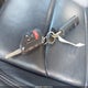 1C4HJXEN4LW165645 2020 Jeep Wrangler Unlimited Sahara Altitude auction photo thumbnail 11