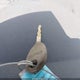 1C3CC4FB3AN137544 2010 Chrysler Sebring Touring auction photo thumbnail 11