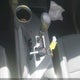 2T3WFREV1EW109457 2014 Toyota Rav4 Xle auction photo thumbnail 11