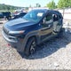 1C4PJMBS8GW248862 2016 Jeep Cherokee Trailhawk auction photo thumbnail 2