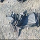JA4J4VA81RZ019914 2024 Mitsubishi Outlander Se Black Edition S-Awc auction photo thumbnail 12