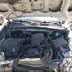 5TFRX5GNXHX102278 2017 Toyota Tacoma Sr auction photo thumbnail 10