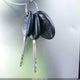 5TFRX5GNXHX102278 2017 Toyota Tacoma Sr auction photo thumbnail 11