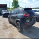 1C4PJMBSXGW134443 2016 Jeep Cherokee Trailhawk auction photo thumbnail 3